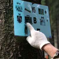 Квест Green Games - Организация праздников от компании TOP-SHOW в Екатеринбурге