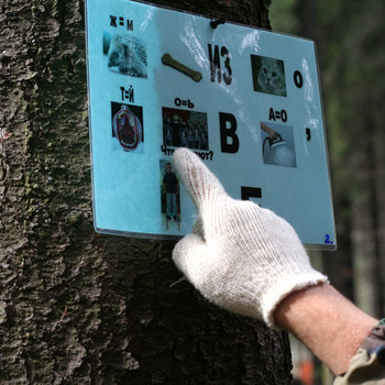 Квест Green Games - Организация праздников от компании TOP-SHOW в Екатеринбурге